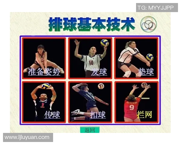 杭州排球队中路突破的战术解析与技术深度剖析